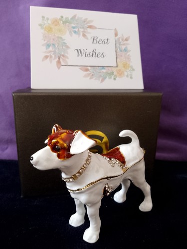 Beautiful russel terrier - beautiful,