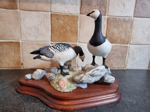Border fine arts barnacle - fine,