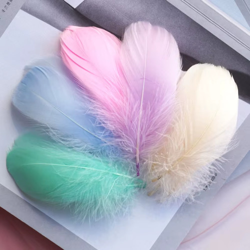 100 solid coloured feathers - coloured,