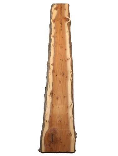 Yew burl wood - 1x,
