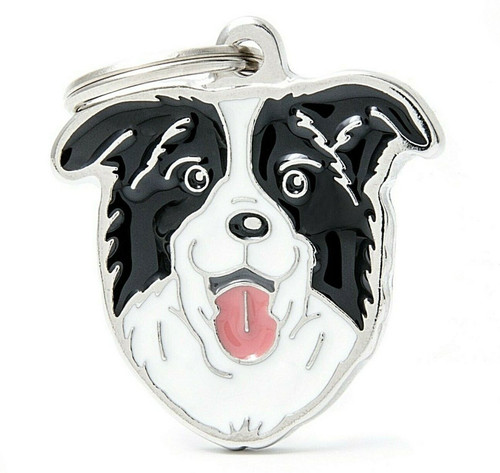 Border collie dog - dog, tag