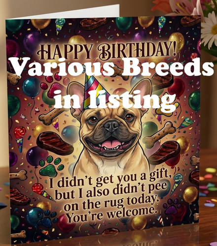 Funny birthday card - birthday, from