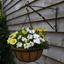 Hanging Baskets with Liner &