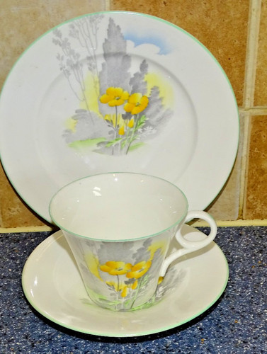 Shelley regent cup saucer - shelley,