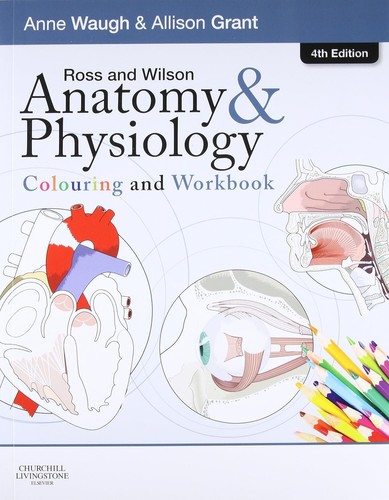 Anatomy physiology - &,