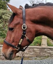 KHS Premium Leather Headcollar with engraved nameplate
