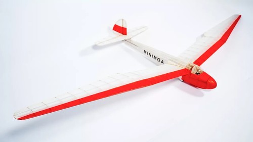 Tony ray minimoa wingspan - 1.4m,