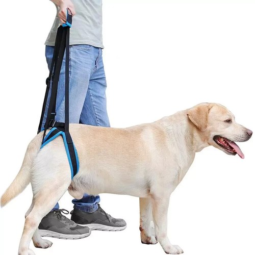 Dog mobility aid support - aid,