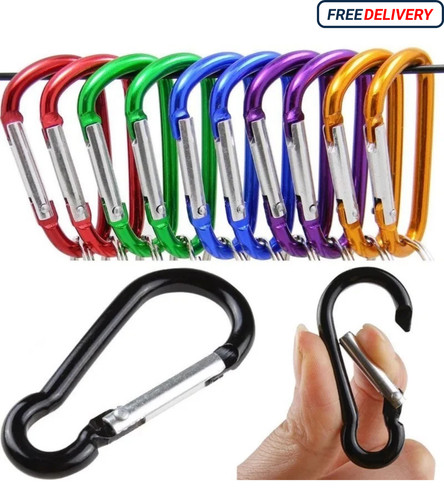 Carabiner clip x10 multi - clip,