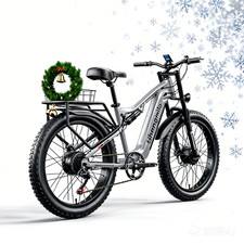 Christmas Deal! Fat Tyres