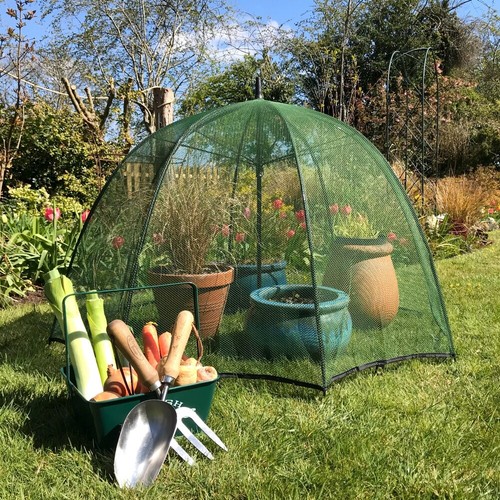 Garden net umbrella cloche - umbrella,