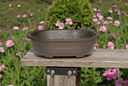 Bonsai pot brown - pot, mica