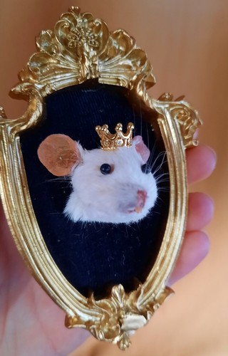 Taxidermy mouse head - mouse, king