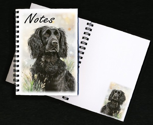 Cocker spaniel dog - spaniel,