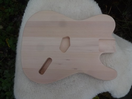 Snakehead tele style guitar - style,