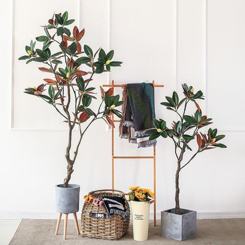 Artificial rubber tree - tree, plant