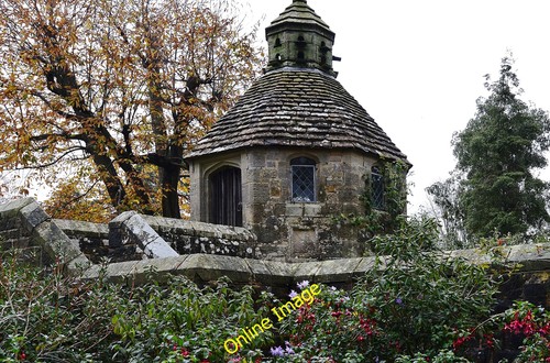 Photo 6x4 nymans garden - photo,