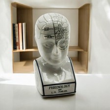 L.N fowler porcelain phrenology 12'' ceramic head Antique off  crackle-glaze