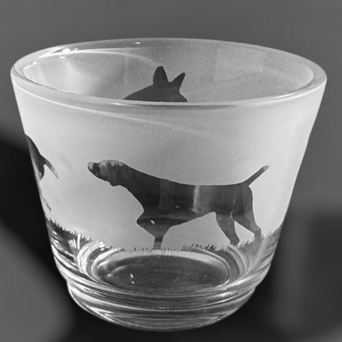 German shorthaired pointer - shorthaired,