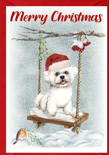 Bichon frise dog - frise, (4"x