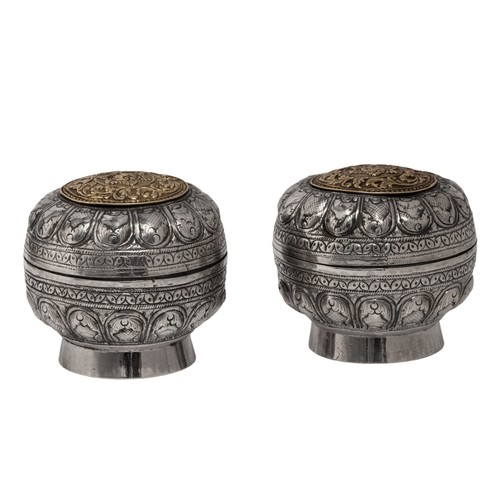 Two straits chinese betel - straits, betel-nut