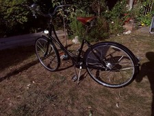 Pashley Princess Sovereign