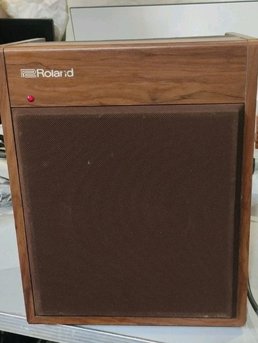 Roland watt 1x6 - hk-20, 20-watt