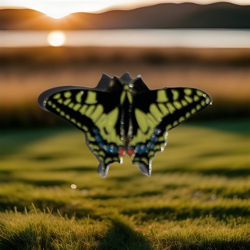 Rspb pin badge swallowtail - pin,