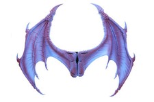 Fancy Dress Dragon Wings -
