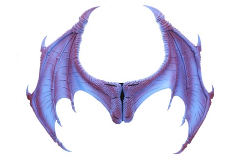 Fancy dress dragon wings - dragon,