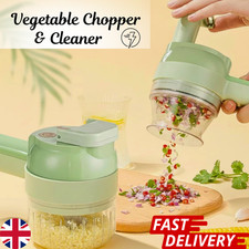 4 in 1 Electric Vegetable