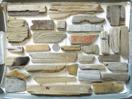 Driftwood pieces flat - driftwood, one