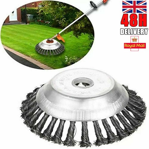 6in 8in garden grass - 6in,