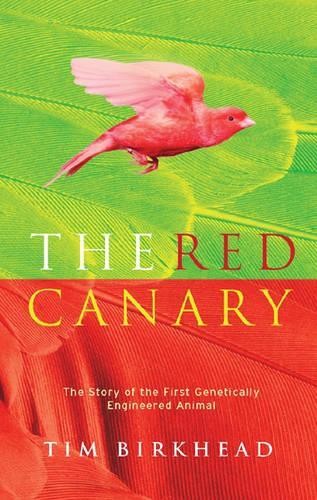 The red canary - the, of