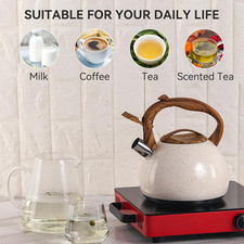 Stainless Steel Whistling