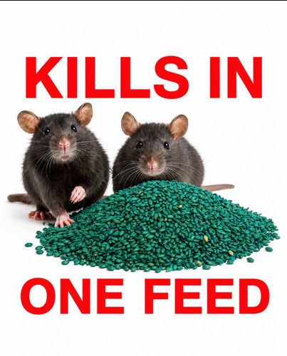 Rodent poison bait killer - bait,