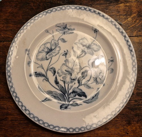 Ridgway bates co plate - &,