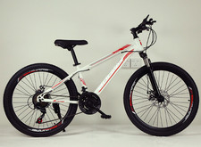 24 Inch White Red Adult Bike