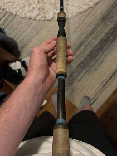 Loomis nrx 893c - 893c, rod