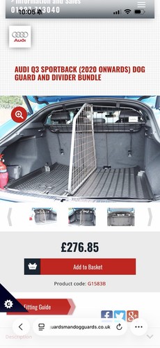 Audi guardsman dog - dog, divider