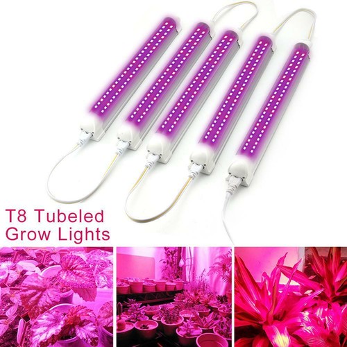 Led plant grow - led, light