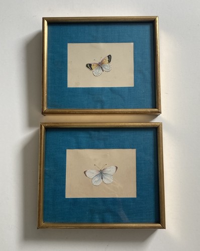 Pair vintage butterfly - of,