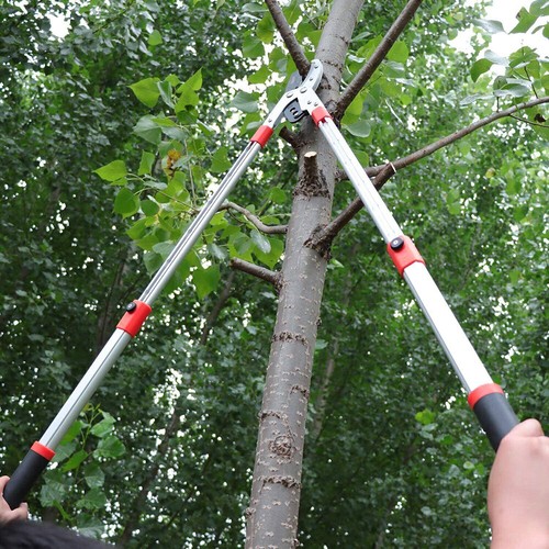 Extendable telescopic tree - telescopic,