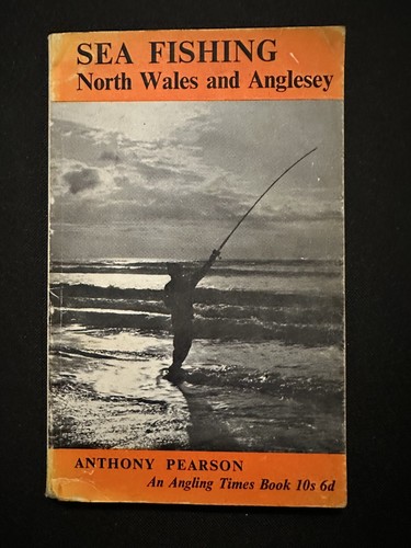 Vintage fishing book sea - fishing,