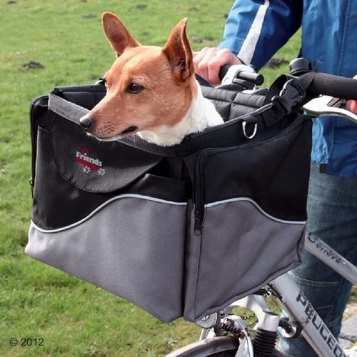 Friends tour bike - bike, basket