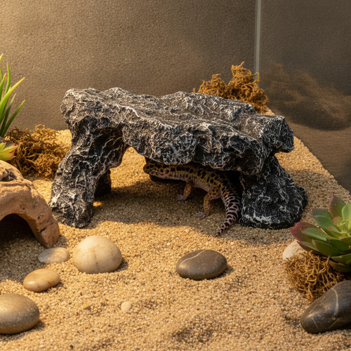 Ball python reptile - reptile, cave
