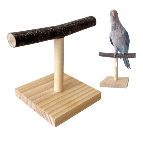 Parrot stand tabletop - stand,