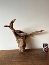 Driftwood Piece. golden