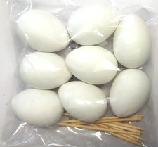 8 Hollow Plastic Eggs to