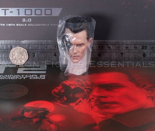 Hot toys 1000 head sculpt - toys,